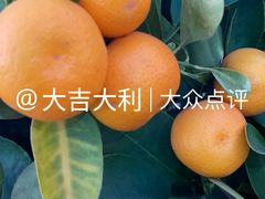 -潮汕大目牛肉火锅(皇岗旗舰店)