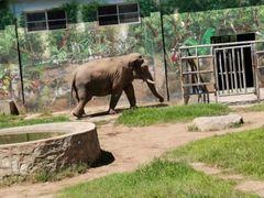 -西安秦岭野生动物园