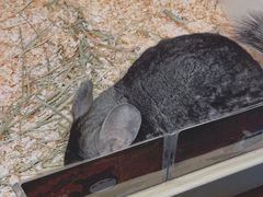 -龙猫仔乐园(惠福东路店)