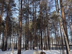 -北极村旅游风景区