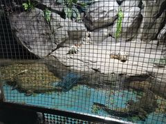 -苏州海洋馆