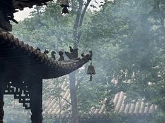 -潭柘寺景区
