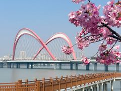 -艾溪湖湿地公园