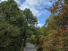 -照金香山旅游景区
