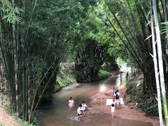 -红山村