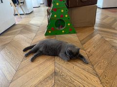 -Me Coffee下午茶艺术空间