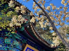 -潭柘寺景区