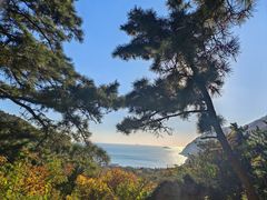-崂山仰口游览区