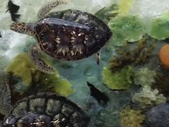 -福州罗源湾海洋世界旅游区