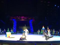 -珠海横琴长隆《卡卡虎奇遇记》