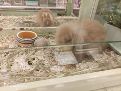 -龙猫仔乐园(惠福东路店)