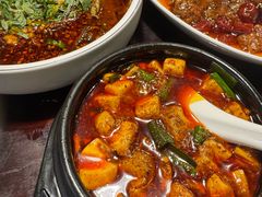 -陈麻婆豆腐总店