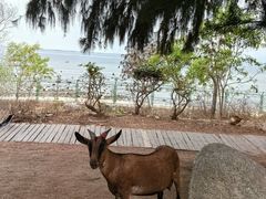 -三亚西岛海洋文化旅游区