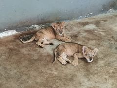 -西安秦岭野生动物园