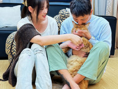 -猫十亿·布偶金渐层·曼基康矮脚猫舍(青年路店)