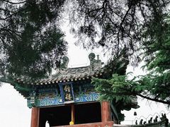 -洛阳白马寺