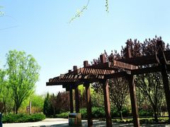 -永定河休闲森林公园