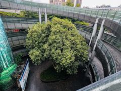 -福道