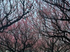 -苏州上方山国家森林公园