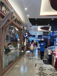 -卡通尼·Safari非洲探索乐园·生日会(金桥国际商业广场店)