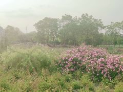 -尚贤河湿地