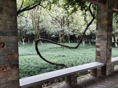 -望江楼公园