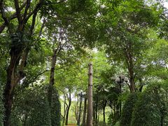 -恒大足球学校