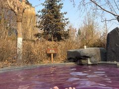 -清河半岛温泉度假酒店