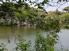 -广州莲花山旅游区