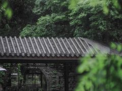 -青龙山国家森林公园