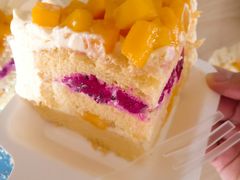 -维尔纳斯·生日蛋糕·动物奶油冰淇淋蛋糕(六里桥店)