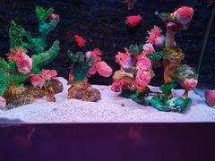 -秦皇岛新澳海底世界