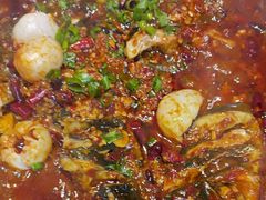 -鱼酷活鱼烤鱼(沈阳大悦城店)