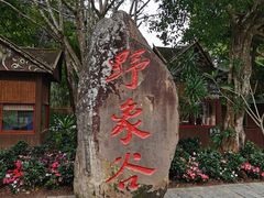 -野象谷景区