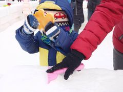-紫竹院公园冰场