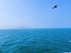 -刘公岛景区