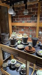 -青木造型HAIR·あおき髪を刈る潮人店