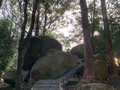 -火炉山森林公园