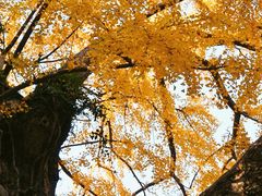 -无锡惠山寺