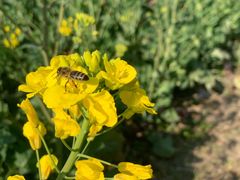 -国际非物质文化遗产博览园