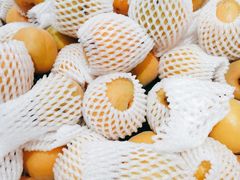 -洋洋广场(南街店)