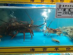 -海贡平价海鲜超市