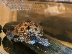 -时光花园(白鹭洲店)