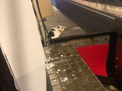 -玫瑰甜品(文明路店)