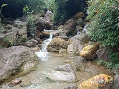 -南海湾森林生态园