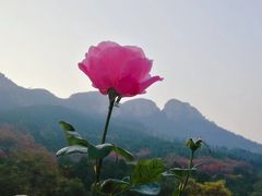 -济南马套将军山