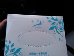 -鲨鱼皮汽车凹陷玻璃修复(静安店)