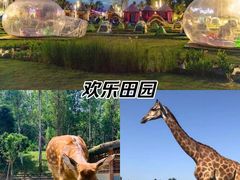 -黄龙溪欢乐田园