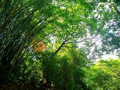 -中山公园(石岐街道)