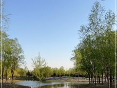 -东郊湿地公园